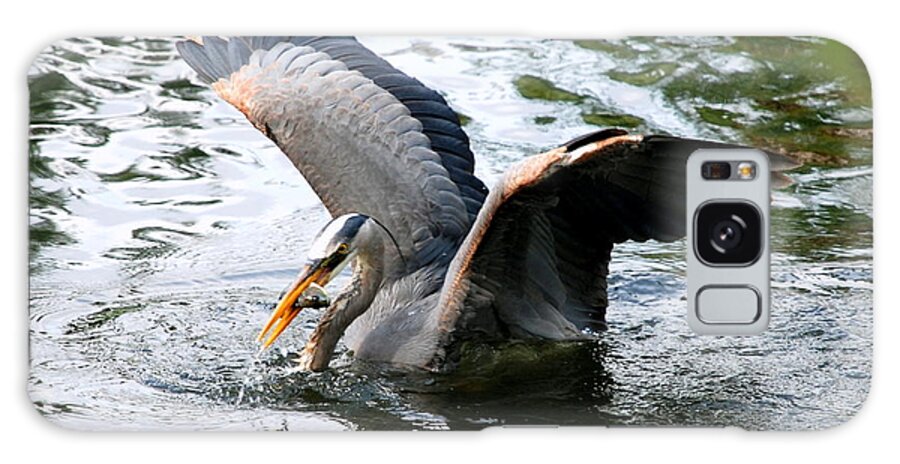 Heron Galaxy Case featuring the photograph Great Blue Heron by Larry Ward