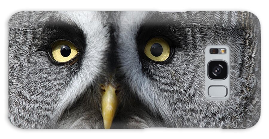 Flpa Galaxy Case featuring the photograph Great Grey Owl Finland by Malcolm Schuyl