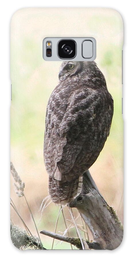 Owl Galaxy Case featuring the photograph Great Horned Owl by Angie Vogel