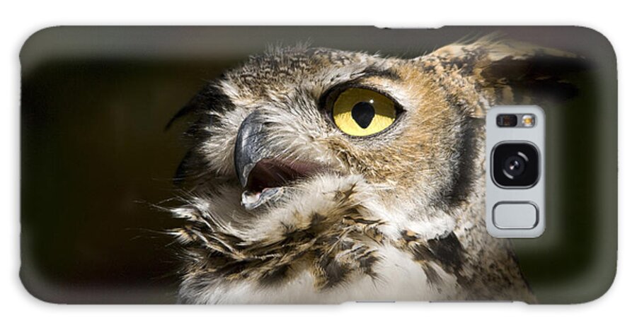 Owl Galaxy Case featuring the photograph Great Horned Owl by John Greco