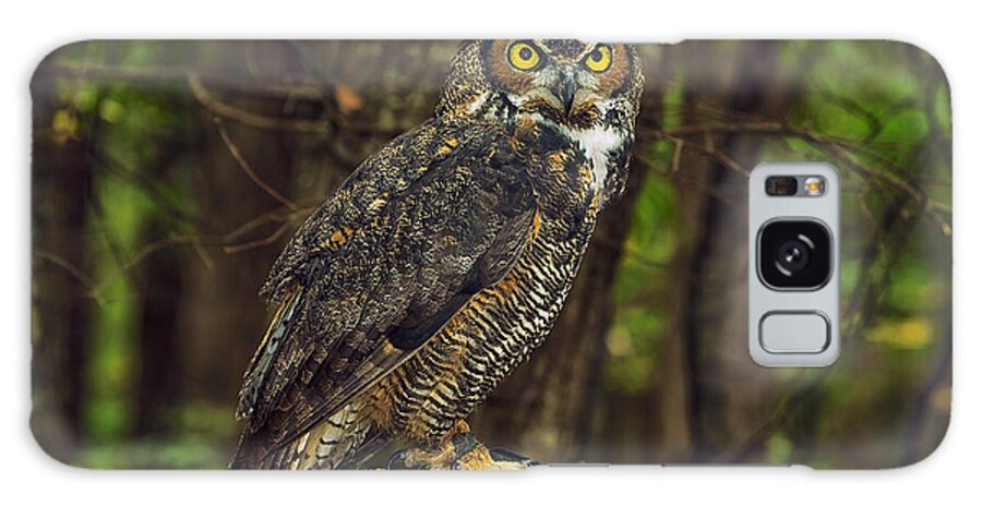 Great Horned Owl Galaxy Case featuring the photograph Great Horned Owl by Mark Steven Houser