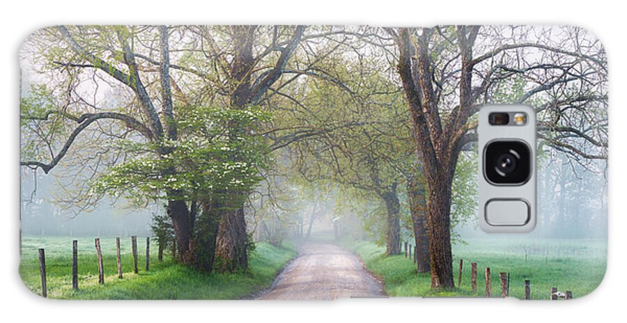 Bloom Galaxy Case featuring the photograph Great Smoky Mountains National Park Cades Cove Country Road by Dave Allen
