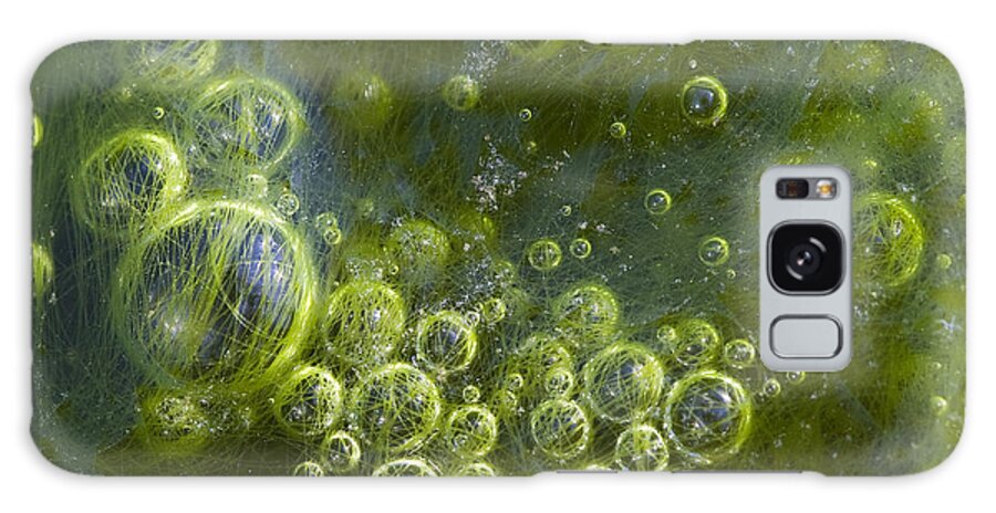 Water Galaxy Case featuring the photograph Green Algae Bubbles in Creek by Steven Schwartzman