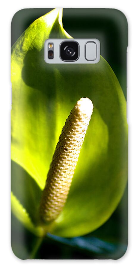 Green Galaxy Case featuring the photograph Green Anthurium by Will Wagner