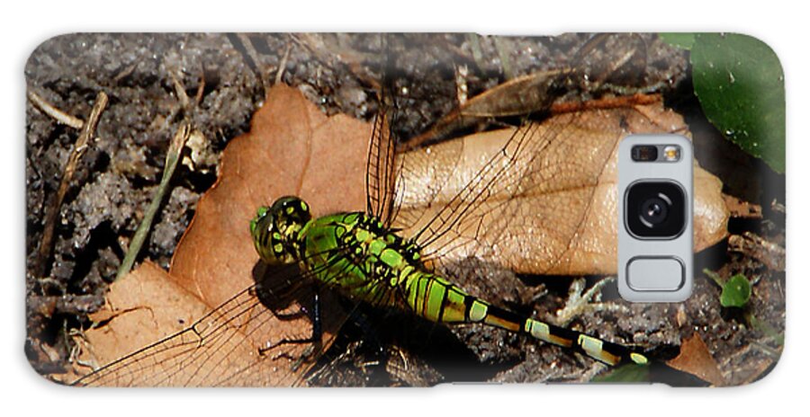 Dragonfly Galaxy Case featuring the photograph Green Dragonfly by Chauncy Holmes