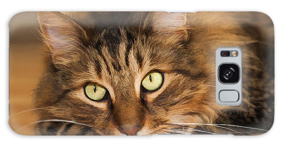 Cat Galaxy S8 Case featuring the photograph Green Eyes by Donna Doherty
