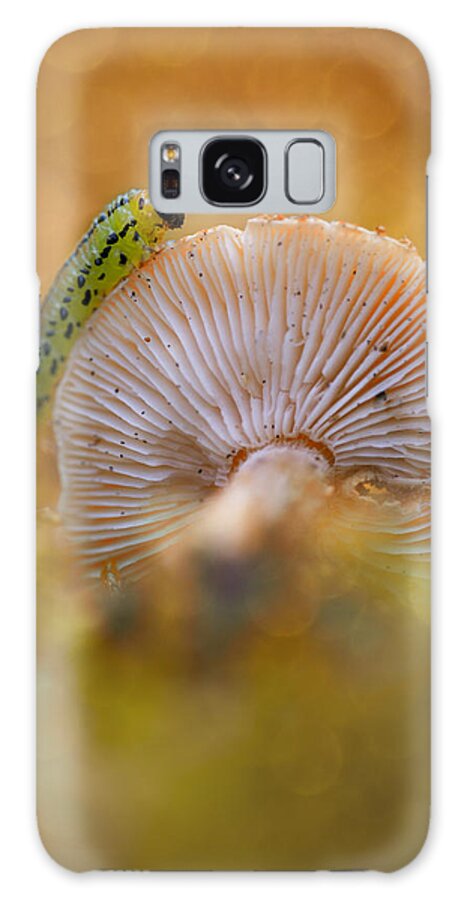 Caterpillar Galaxy Case featuring the photograph Green Jelly by Jaroslaw Blaminsky