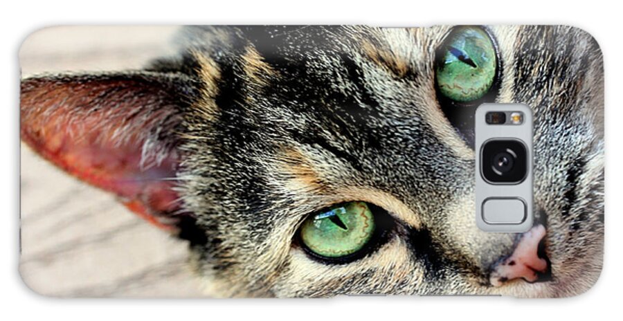 Feline Galaxy S8 Case featuring the photograph Green Pepper by Andrea Platt