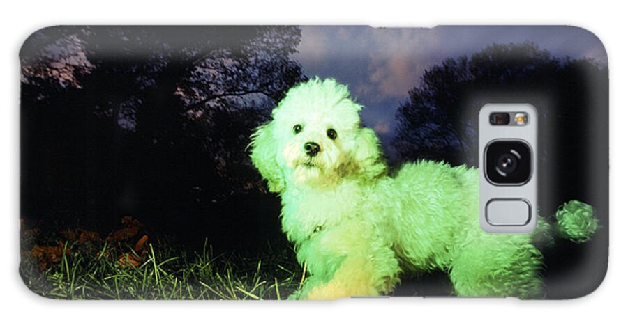 Animals Galaxy S8 Case featuring the photograph Green Poodle by Chip Simons