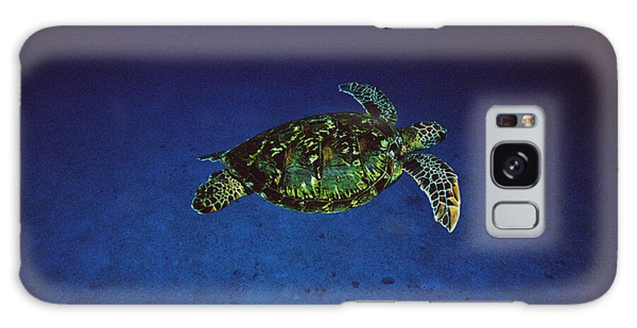 Feb0514 Galaxy Case featuring the photograph Green Sea Turtle Swimming Off Of Cocos by Flip Nicklin