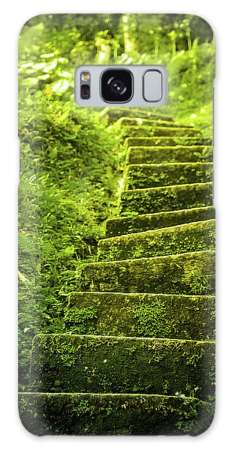 Tropical Rainforest Galaxy Case featuring the photograph Green Stair by Pixalot
