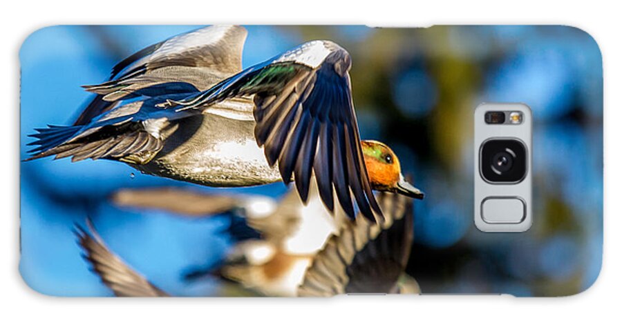 Green Galaxy Case featuring the photograph Green-Winged Teal Duck in Flight by Rob Green