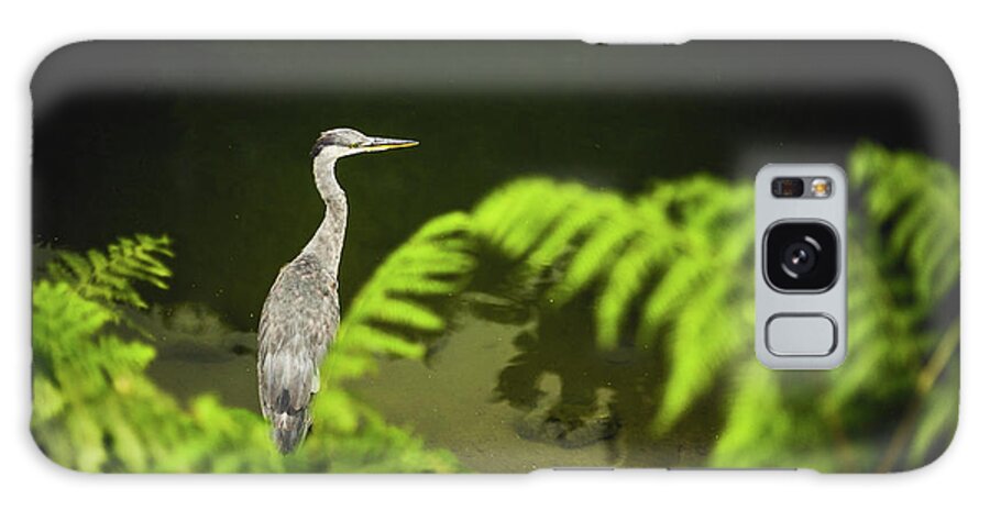 Animal Themes Galaxy Case featuring the photograph Grey Heron by Property Of Chad Powell