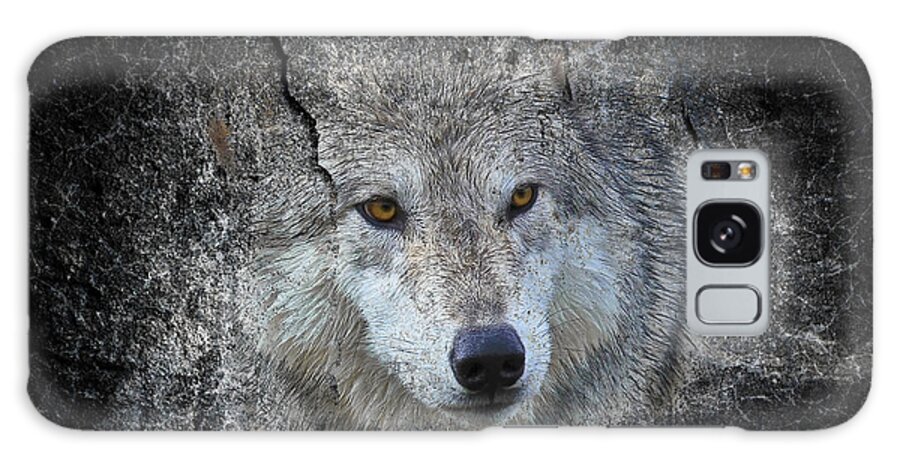 Wolves Galaxy S8 Case featuring the photograph Grey Stone by Athena Mckinzie