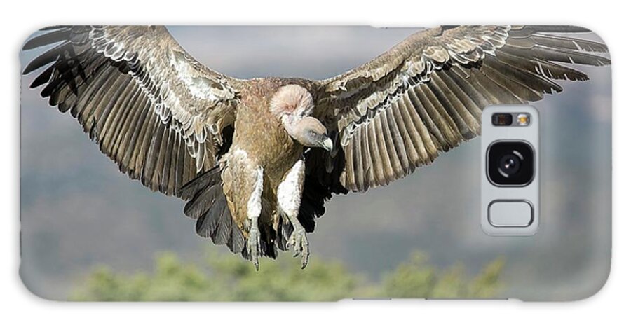 Griffon Vulture Galaxy Case featuring the photograph Griffon Vulture Flying by Nicolas Reusens