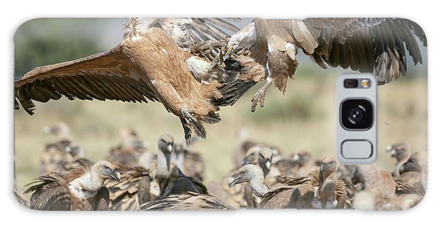 Griffon Vulture Galaxy Case featuring the photograph Griffon Vultures by Nicolas Reusens