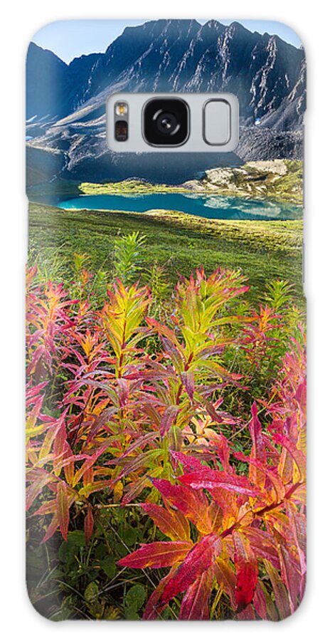 Alaska Galaxy Case featuring the photograph Grizzly Bear Fireweed by Tim Newton
