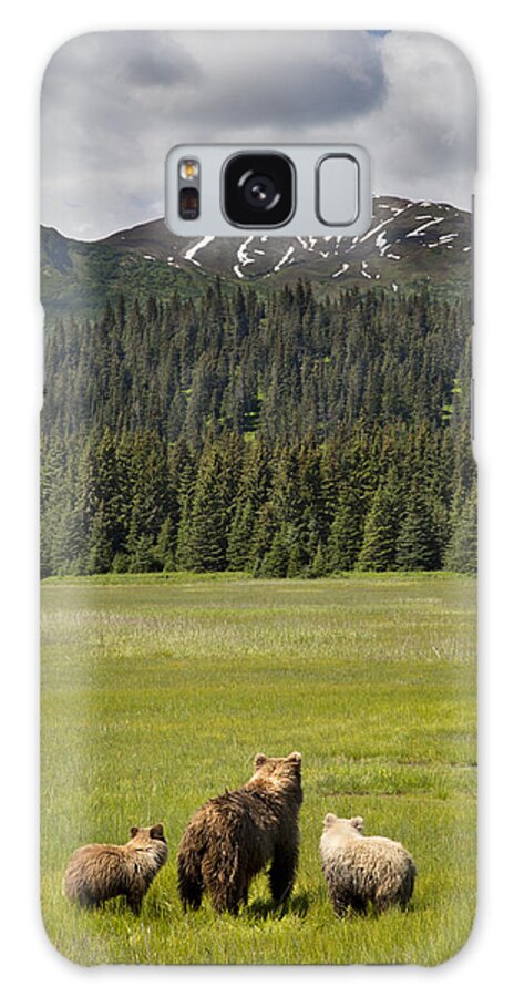Richard Garvey-williams Galaxy Case featuring the photograph Grizzly Bear Mother And Cubs In Meadow by Richard Garvey-Williams