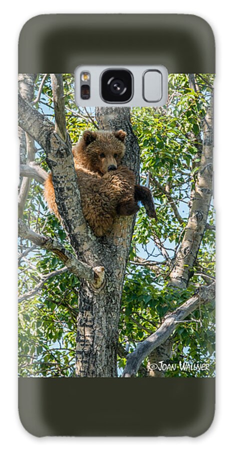 Alaska Galaxy Case featuring the photograph Grizzly Hanging Out by Joan Wallner