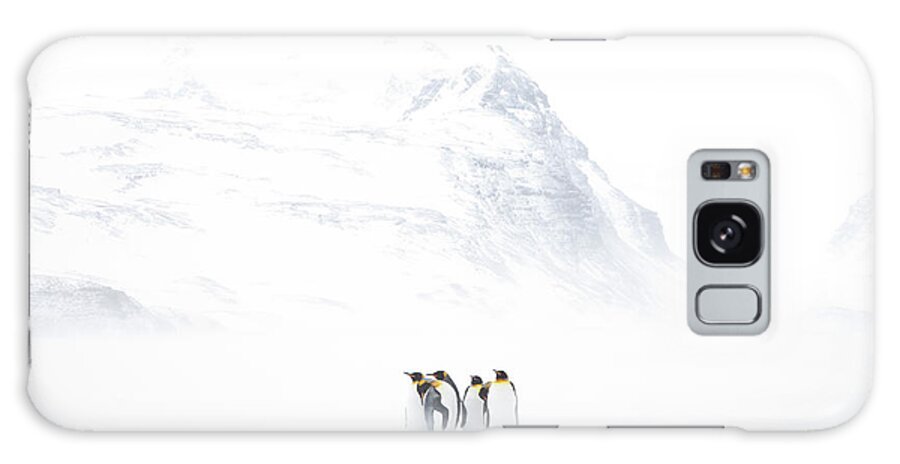 Wind Galaxy Case featuring the photograph Group Of King Penguins Standing Against by Darrell Gulin