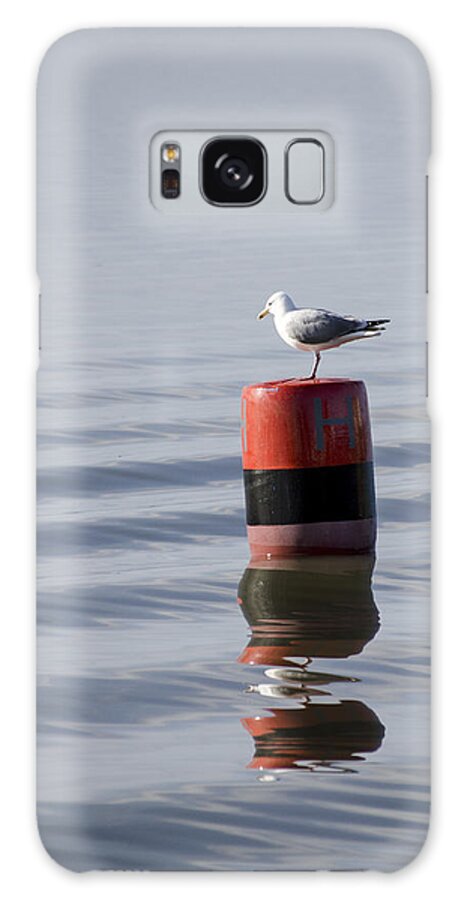 Sand Galaxy Case featuring the photograph Gull by Spikey Mouse Photography