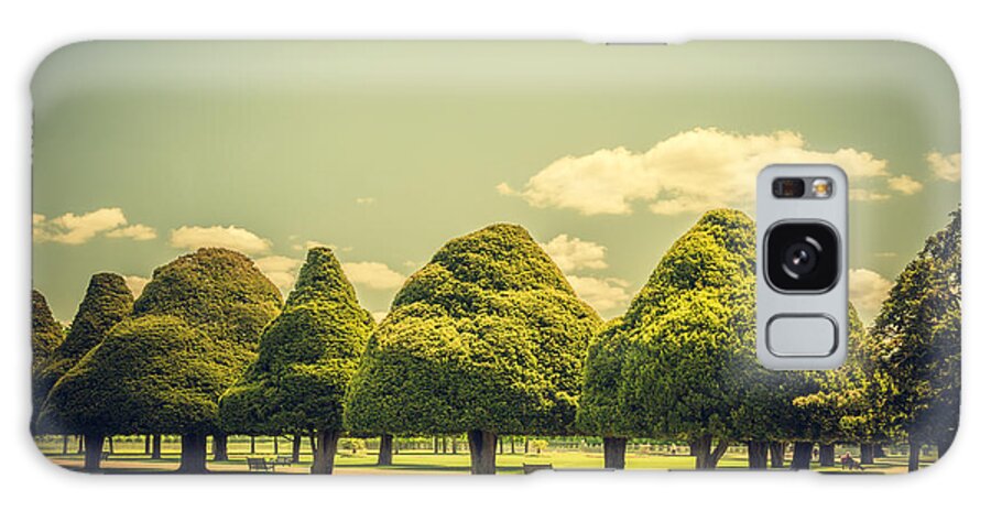 20th Centuary Garden Galaxy Case featuring the photograph Hampton Court Palace Gardens Triangular Trees by Lenny Carter