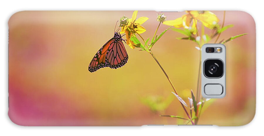 Monarch Galaxy Case featuring the photograph Hang by Joel Olives