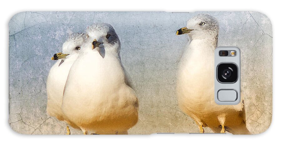 Ring-billed Gull Galaxy Case featuring the photograph Hanging Out by Betty LaRue