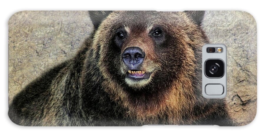 Grizzly Bears Galaxy Case featuring the photograph Happy Grizzly Bear by Elaine Malott