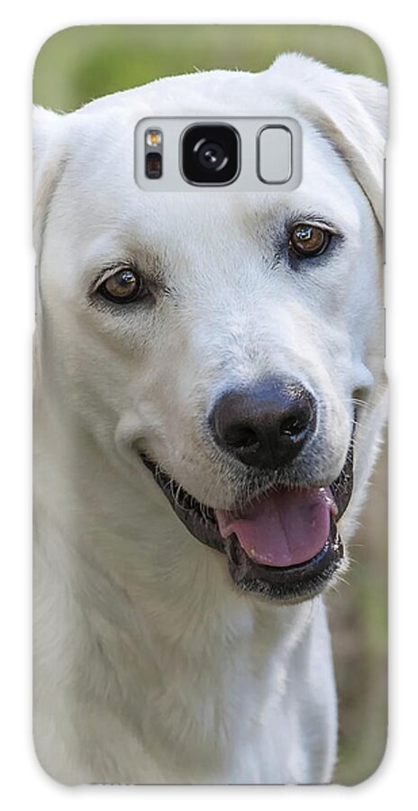 Dog Galaxy Case featuring the photograph Happy Lab by Stephen Anderson