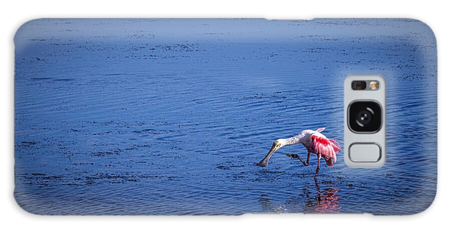 Spoonbill Birds Galaxy Case featuring the photograph Happy Spoonbill by Marvin Spates