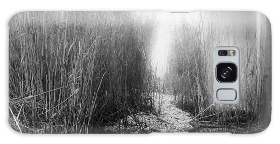 Do Galaxy Case featuring the photograph Haunted Path by Brad Monnerjahn