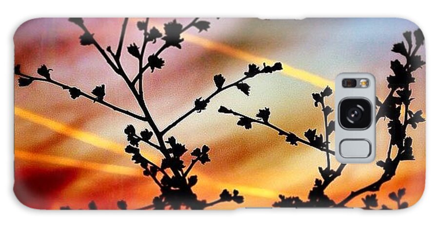 Night Galaxy Case featuring the photograph Hawthorn Sunset by Phil Tomlinson