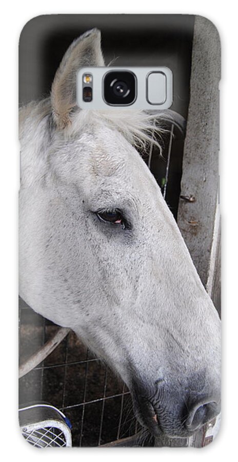 Horse Galaxy S8 Case featuring the photograph Heeey Please by Tommy Pics
