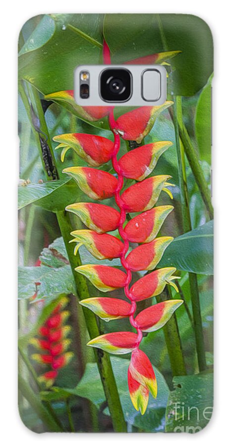 Background Galaxy Case featuring the digital art Heliconia by Patricia Hofmeester