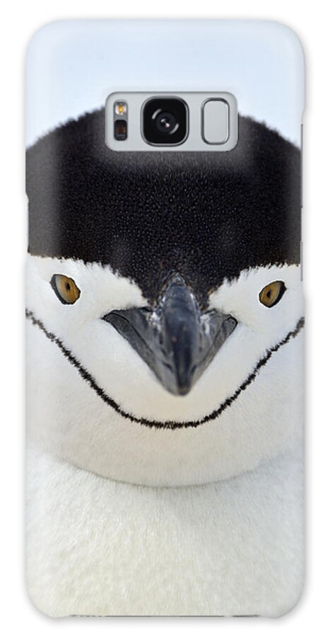 Chinstrap Penguin Galaxy Case featuring the photograph Helmet by Tony Beck