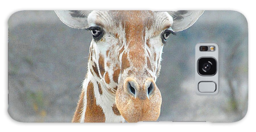 Giraffe Galaxy Case featuring the photograph Here's Lookin' at You by Dyle  Warren