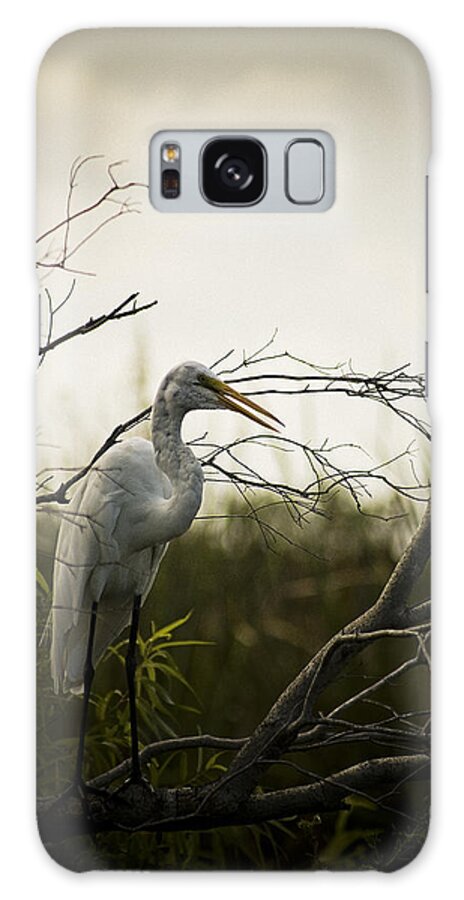 Egret Galaxy S8 Case featuring the photograph Heron At Dusk by Bradley R Youngberg
