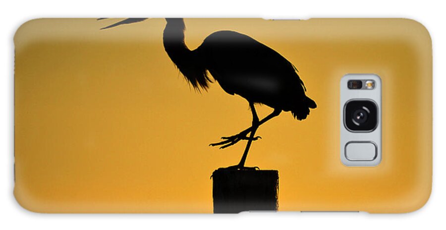 Heron Galaxy Case featuring the photograph Heron at Sunrise by Leticia Latocki