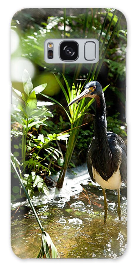 Heron Fishing Galaxy Case featuring the photograph Heron Fishing by Michelle Constantine