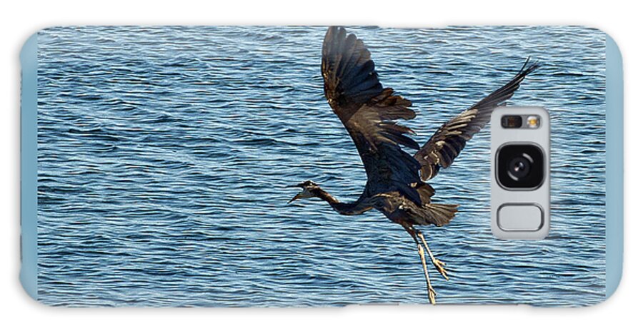 Heron Galaxy Case featuring the photograph Heron in Flight by Ron Roberts