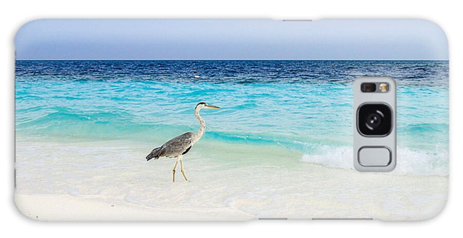 Animal Galaxy S8 Case featuring the photograph Heron Takes A Walk At The Beach by Hannes Cmarits