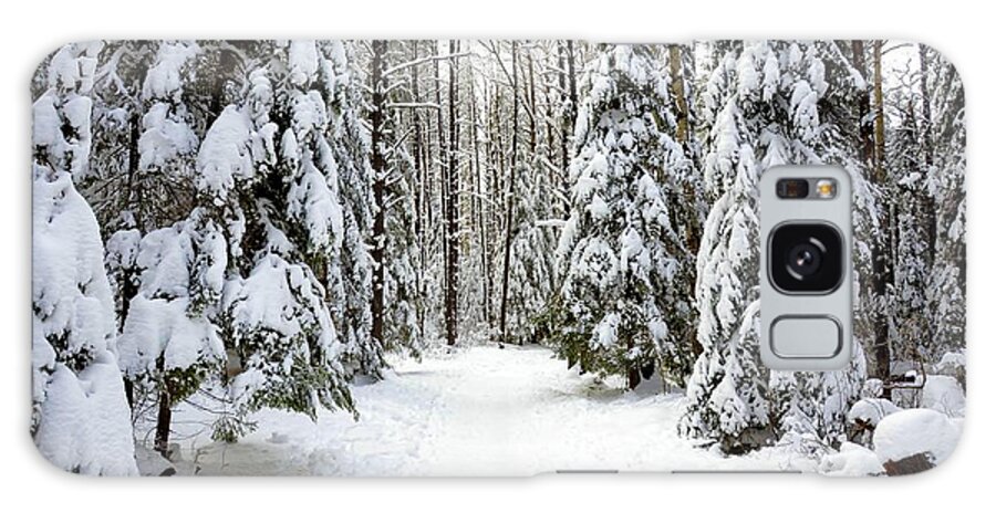 Snowy Scene Galaxy Case featuring the photograph Hersey Lake winter path by Elaine Berger