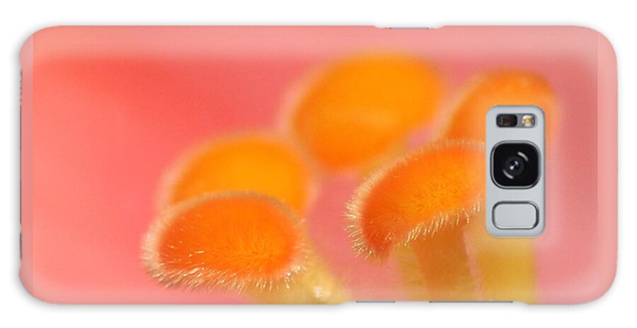 Macro Galaxy Case featuring the photograph Hibiscus Center Macro by Chris Anderson