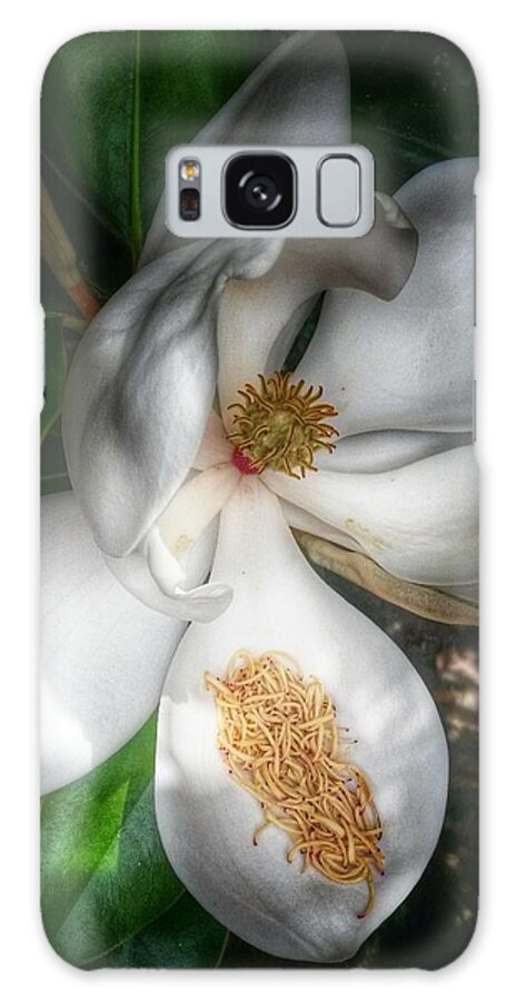Magnolias Galaxy S8 Case featuring the photograph Hidden Beauty by John Duplantis