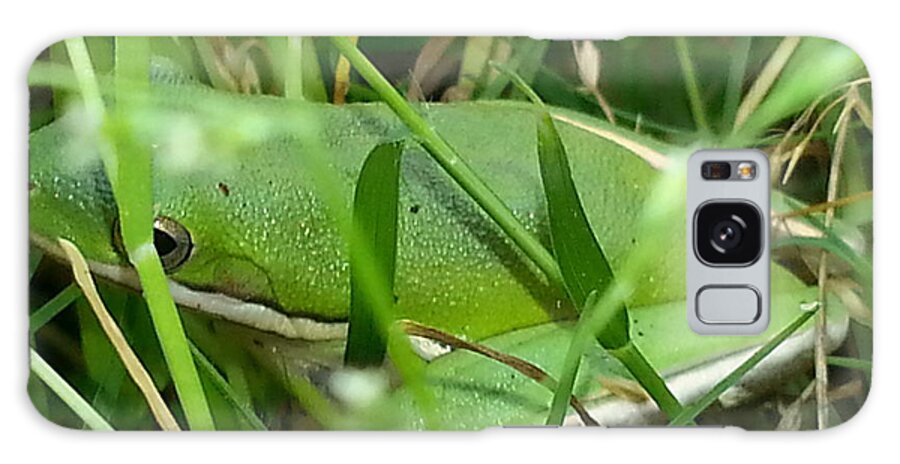 Nature Galaxy S8 Case featuring the photograph Hidden Frog by Fortunate Findings Shirley Dickerson