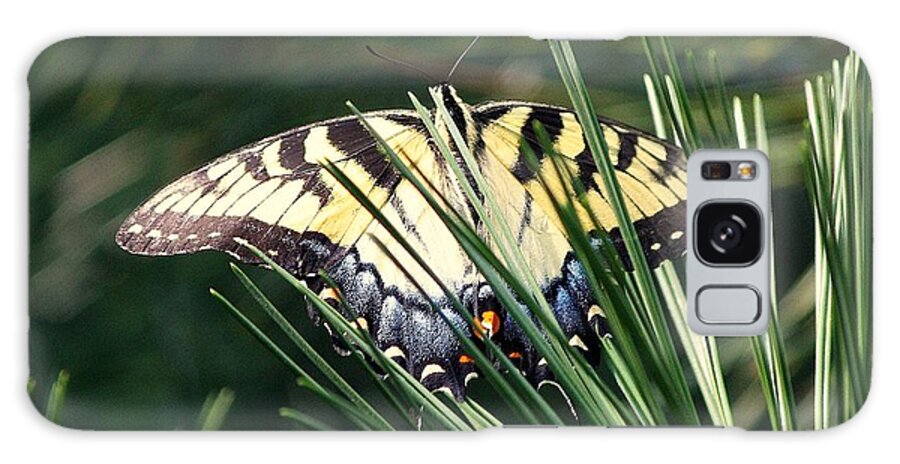Butterfly Galaxy Case featuring the photograph Hidden in the Trees by Veronica Batterson