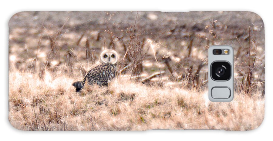 Short-eared Owl Galaxy S8 Case featuring the photograph Hiding in plain sight by Tracy Winter