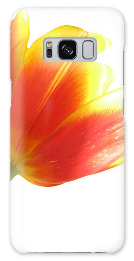 Tulip Galaxy Case featuring the photograph High-Key Tulip by Nancy De Flon