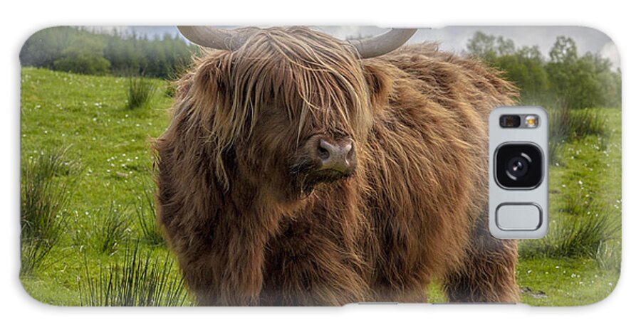 Scotland Galaxy Case featuring the photograph High Know Brown Cow by Terry Cosgrave
